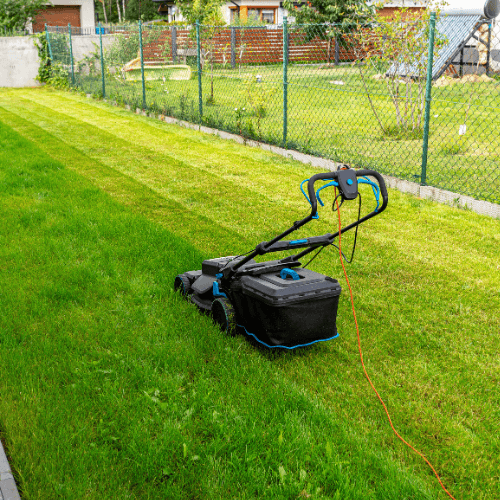 Cutting The Grass