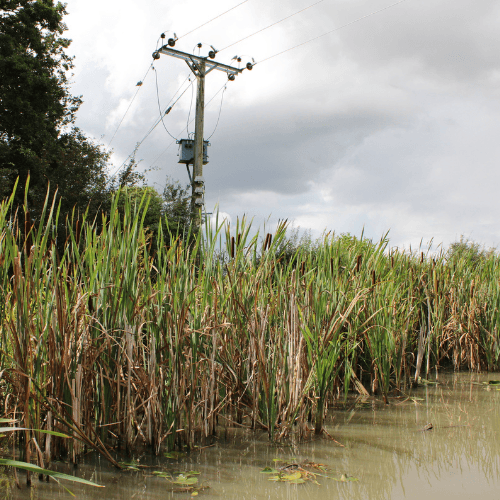 Fishing Near Wires