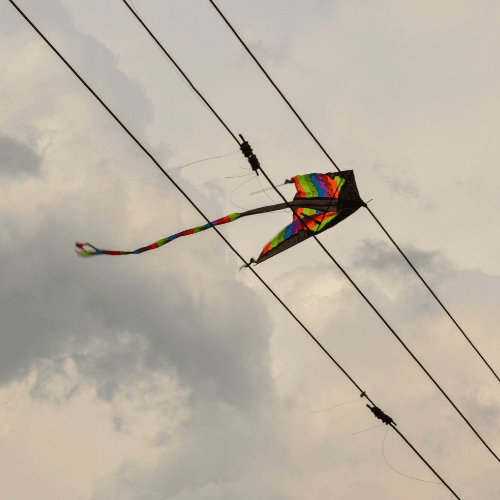 Kite In Lines